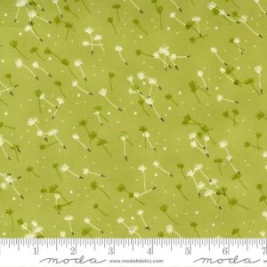 Dandi Duo Grass
