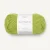 Sunny Lime 9825