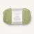 Green Tea 9533