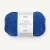 Dazzling Blue 5845