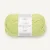 Lime Punch 9523