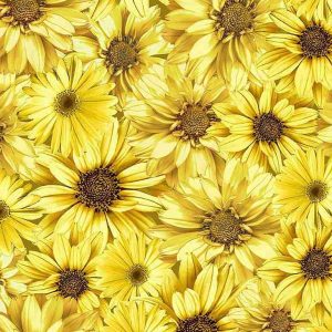 Queen bee Fleur Honey