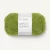 Matcha 9564